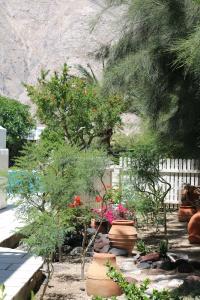 Spiros & Hiroko - Adults Only - 13