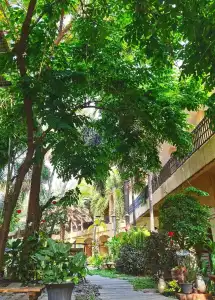 Piman Garden Boutique - 9