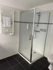 Hôtel Le St Patrice - 72