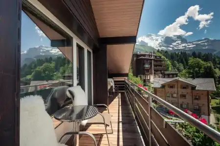 Alpenkräuter Bären - 64