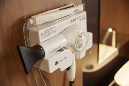 Lion - 44