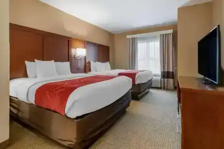Comfort Suites Orlando Airport - 39