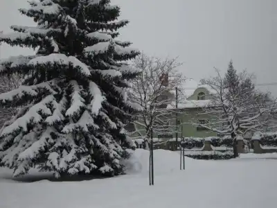 Vadászkürt szálláshely Sopron (ra) - 35