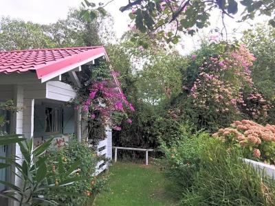 Mesón de Sancho - 100