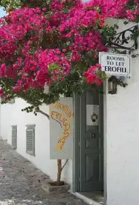 Pension Erofili - 0