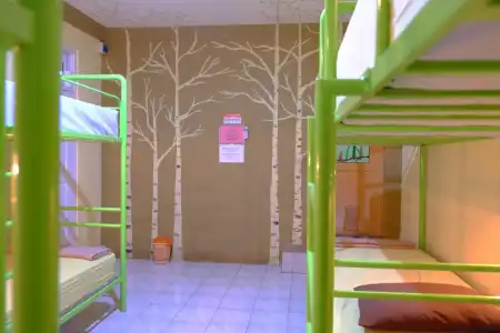 Bunk Bed and Breakfast - 12