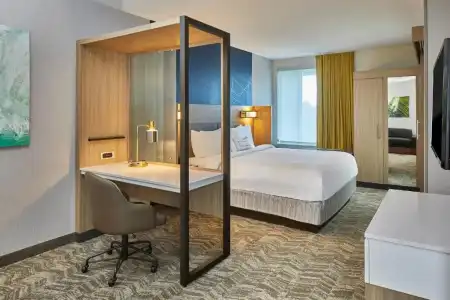 SpringHill Suites by Marriott Charlotte at Carowinds - 3