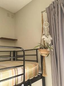 Boho Hostel - 16