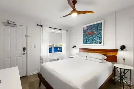 Cabana Clearwater Beach - 44