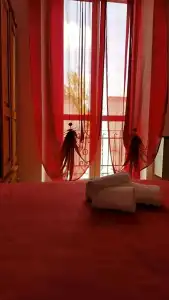 Calaluna - 29