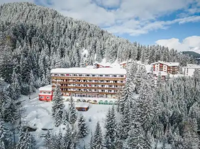 Blatter's Arosa & Bella Vista SPA - 9