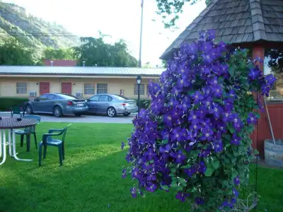 Siesta Motel - 12