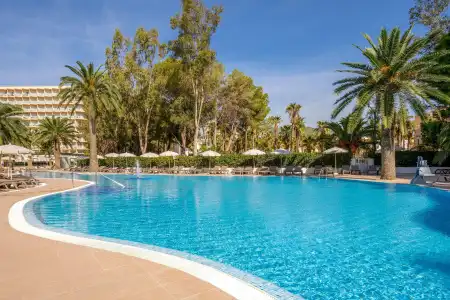 Sol Palmanova Mallorca - 18