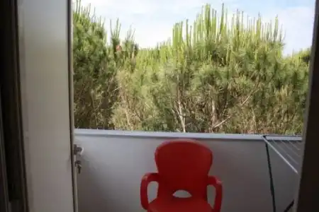 Princi i Vogel - 3
