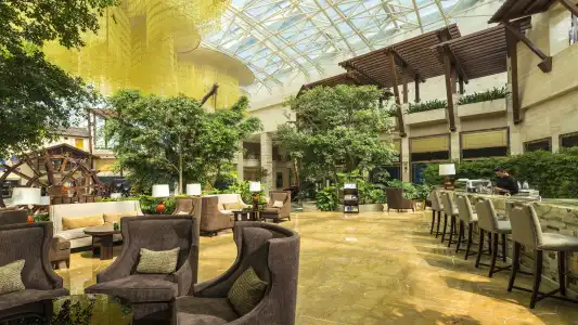 InterContinental Chengdu Global Center by IHG - 29