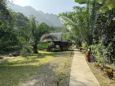 Khaosok Bamboo Huts Resort - 11