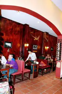 Le Gecko - 20