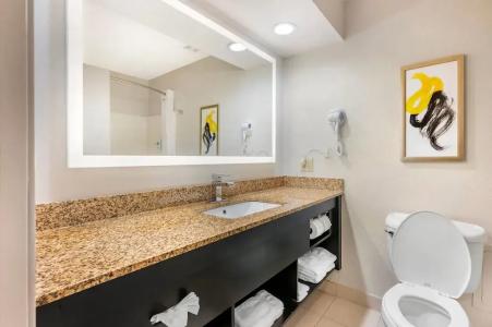 Comfort Inn & Suites Saint Louis Lafayette Square - 36