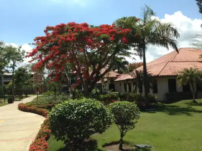 BelleVue Dominican Bay - All Inclusive - 15
