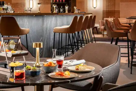 The Ritz-Carlton, Vienna - 27