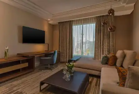 The Ritz-Carlton, Santiago - 38