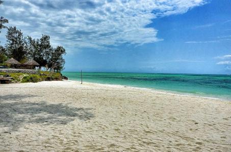 Pongwe Beach - 23