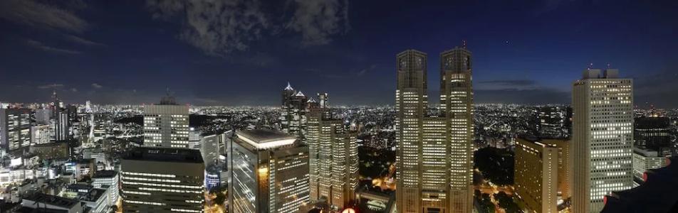 Keio Plaza Tokyo Premier Grand - 47