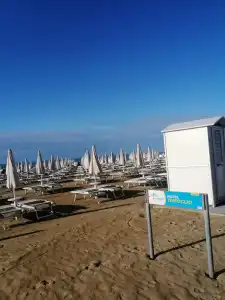 Trifoglio - 11