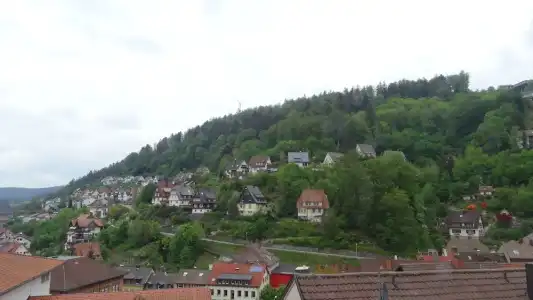 Hotel-Restaurant Ketterer am Kurgarten - 43