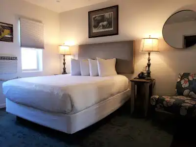 The Iron Horse Inn - 30