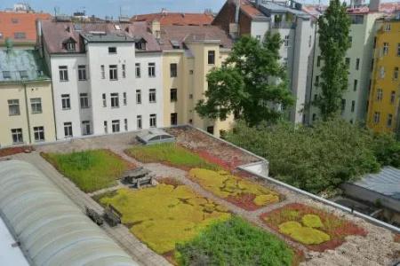 Prague Season - 20