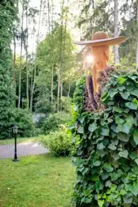 ParkGueldene Berge - 9