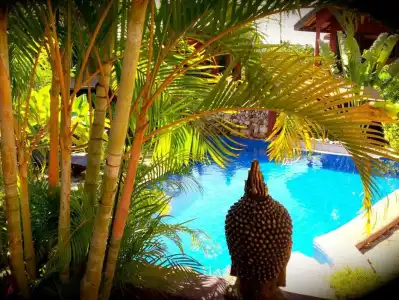 Wazzah Resort - 7