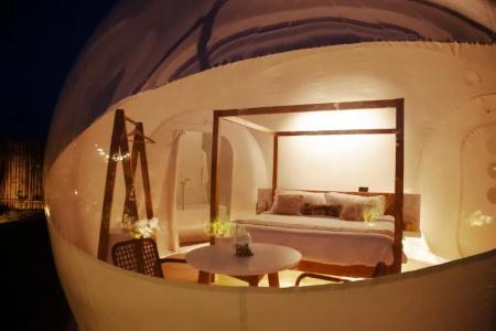 Green Land Bubble Glamping - 45