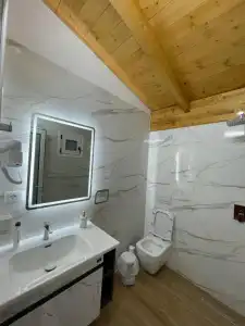 Arial Penthouse Suites - 154