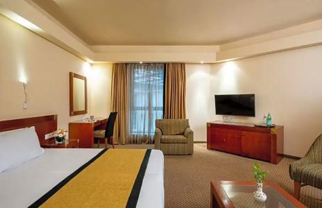 Olive Tree - 55