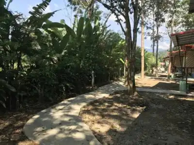 Khaosok Bamboo Huts Resort - 14