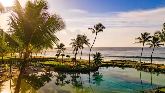 Grand Hyatt Kauai Resort and Spa - 23