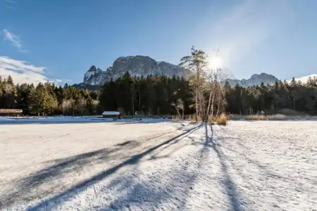 Waldsee - 22