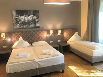 Il Cavallino - 27