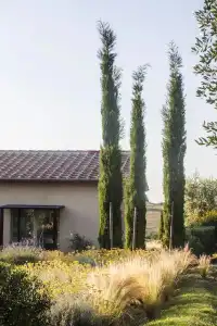 Casale Sterpeti - 22