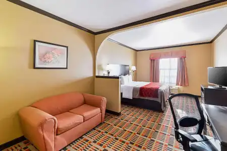 Quality Inn & Suites Lubbock South - 60
