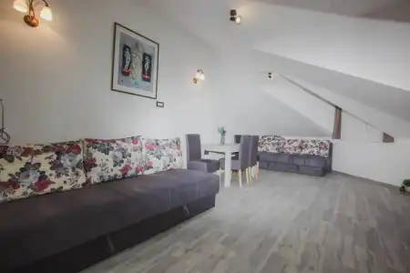 Dapčević - 43