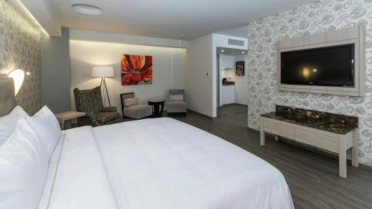 Holiday Inn Express Mexico - Toreo by IHG - 27