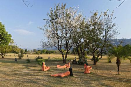 Bar Peepal Resort - 28