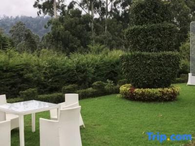 Panorama Green View - 42