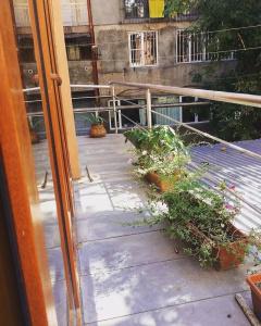 Hostel Yere1 - 18