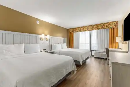 Holiday Inn & Suites Clearwater Beach by IHG - 59