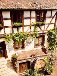 Weingut Dehren - 27