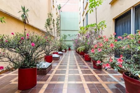 OYO Hidalgo - 8